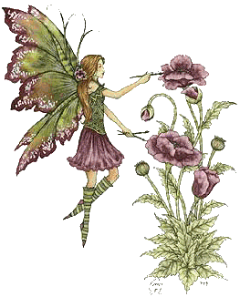 feeaucoquelicot2.gif